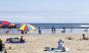 矢指ヶ浦海水浴場